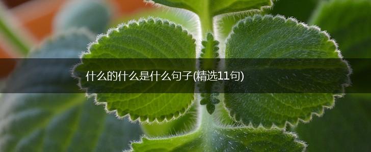 什么的什么是什么句子(精选11句),第1张
