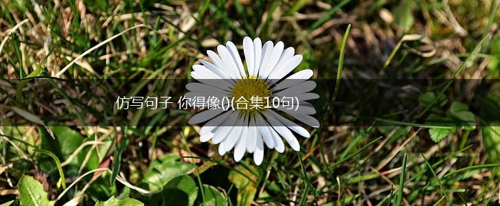 仿写句子 你得像()(合集10句),第1张