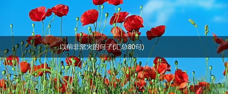 以前非常火的句子(汇总80句),第1张