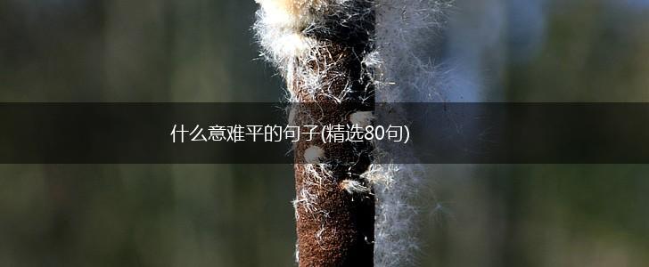 什么意难平的句子(精选80句),第1张