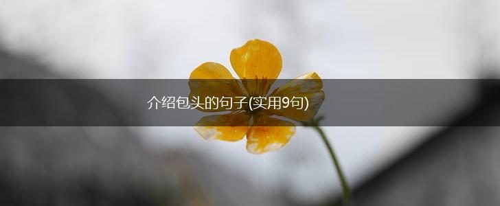 介绍包头的句子(实用9句),第1张