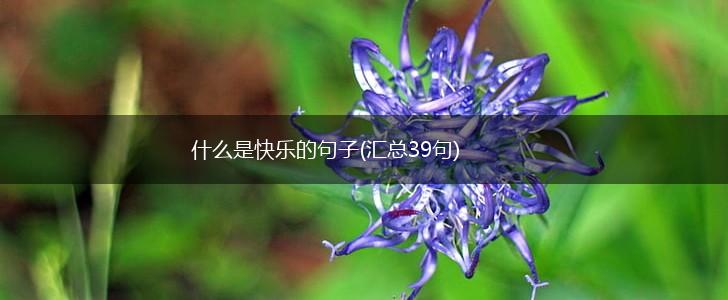 什么是快乐的句子(汇总39句),第1张