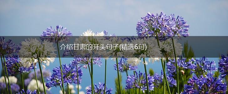 介绍甘肃的开头句子(精选6句),第1张