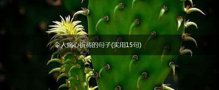 令人痛心祈祷的句子(实用15句),第1张