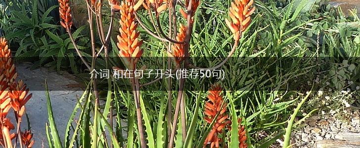 介词 和在句子开头(推荐50句),第1张