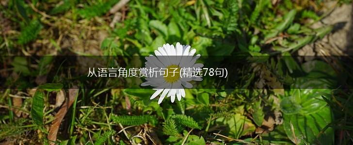从语言角度赏析句子(精选78句),第1张