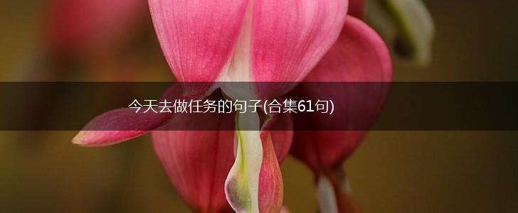 今天去做任务的句子(合集61句),第1张