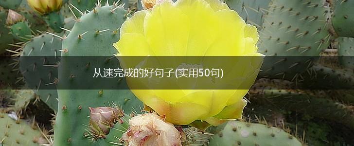 从速完成的好句子(实用50句),第1张