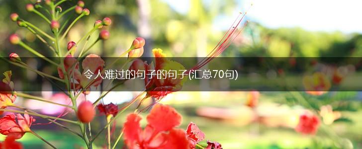令人难过的句子的句子(汇总70句),第1张