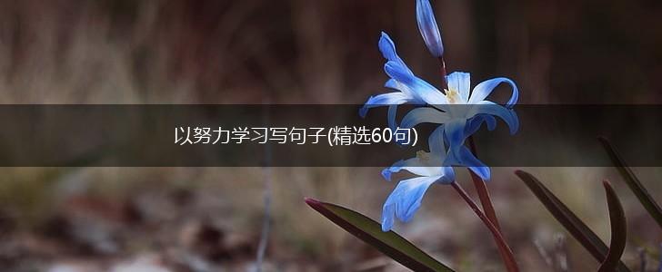 以努力学习写句子(精选60句),第1张