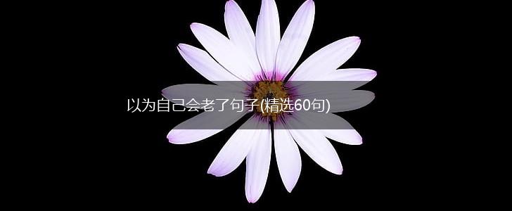 以为自己会老了句子(精选60句),第1张