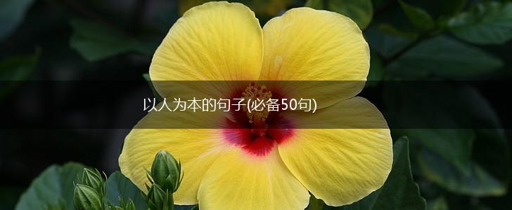 以人为本的句子(必备50句),第1张