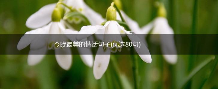 今晚最美的情话句子(优选80句),第1张