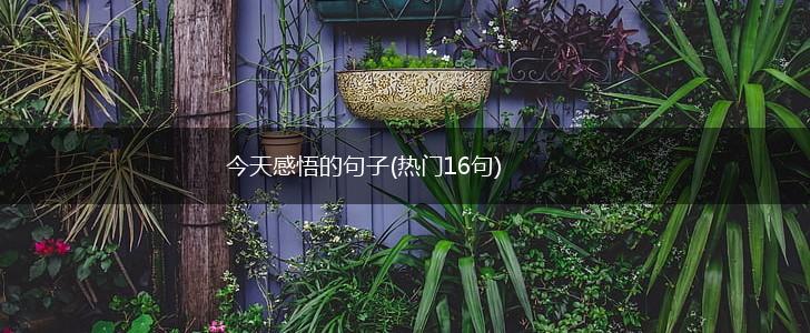今天感悟的句子(热门16句),第1张