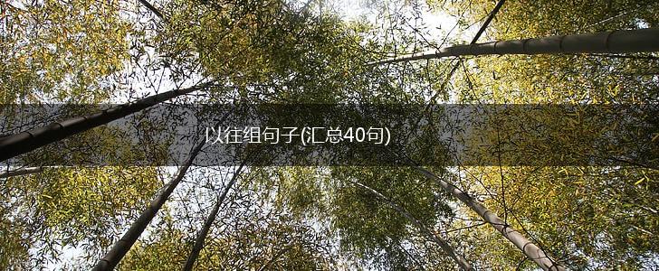 以往组句子(汇总40句),第1张