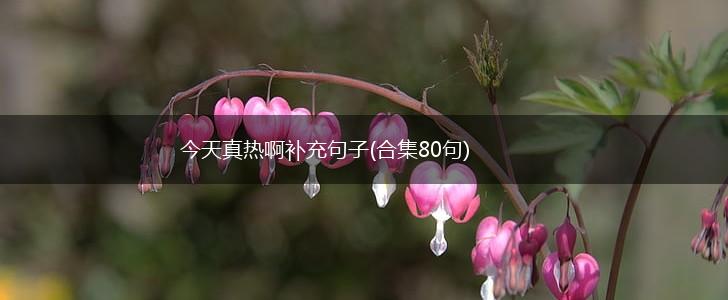 今天真热啊补充句子(合集80句),第1张