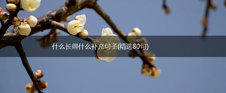 什么长得什么补充句子(精选80句),第1张