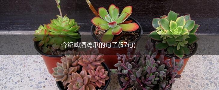 介绍啤酒鸡爪的句子(57句),第1张