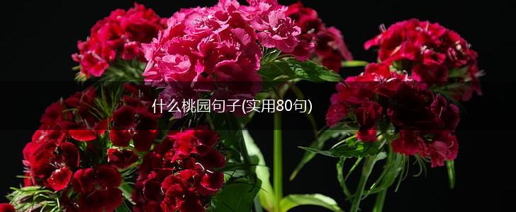 什么桃园句子(实用80句),第1张