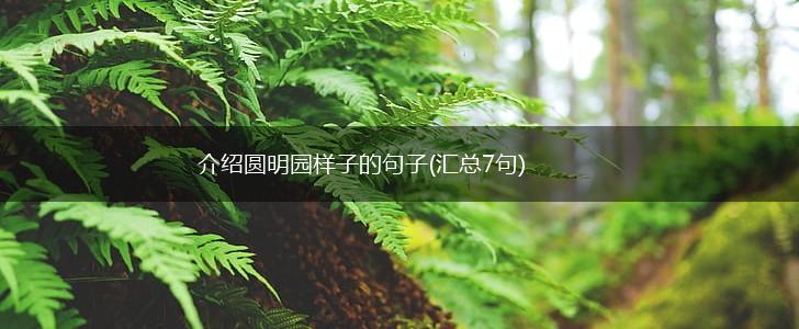 介绍圆明园样子的句子(汇总7句),第1张