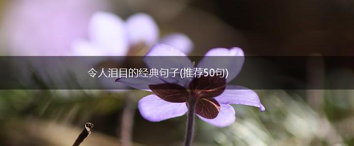 令人泪目的经典句子(推荐50句),第1张