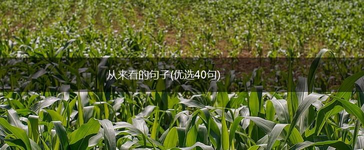 从来看的句子(优选40句),第1张