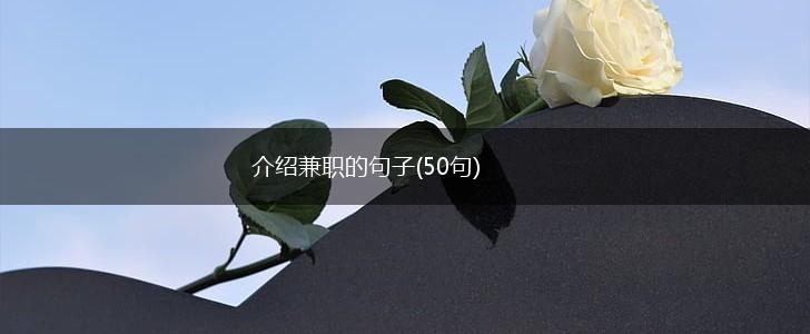 介绍兼职的句子(50句),第1张