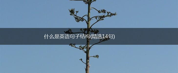 什么是英语句子结构(精选14句),第1张