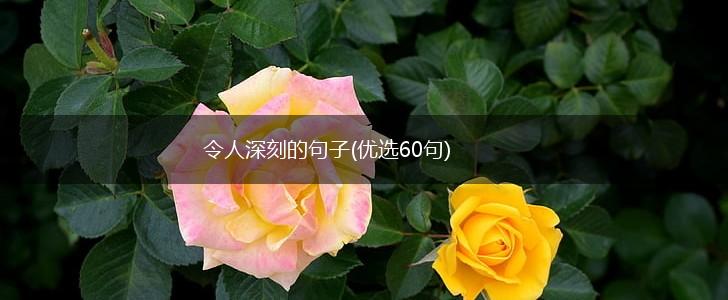 令人深刻的句子(优选60句),第1张