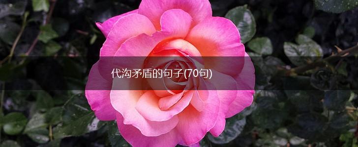 代沟矛盾的句子(70句),第1张