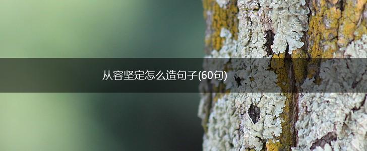 从容坚定怎么造句子(60句),第1张
