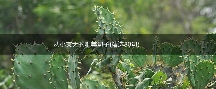 从小变大的唯美句子(精选80句),第1张