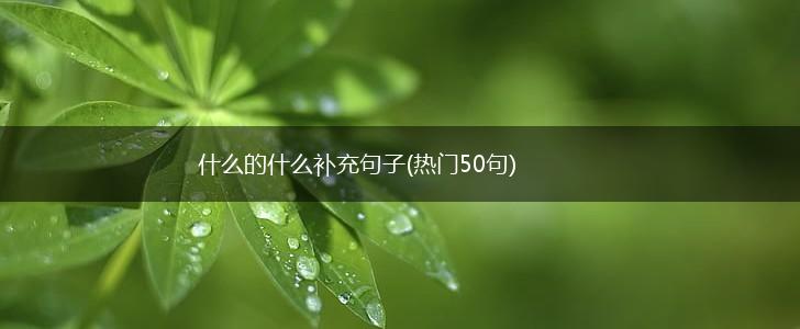 什么的什么补充句子(热门50句),第1张