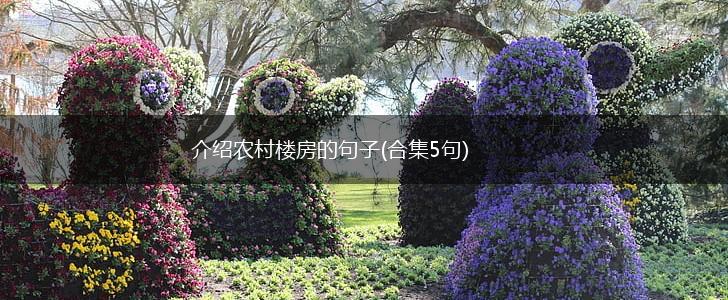 介绍农村楼房的句子(合集5句),第1张