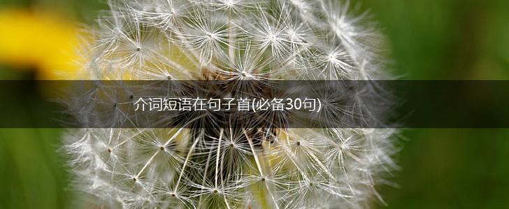 介词短语在句子首(必备30句),第1张