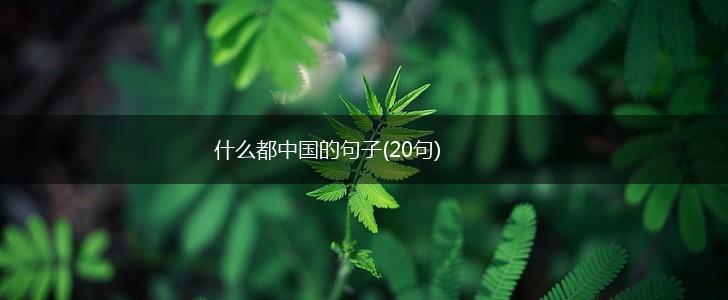 什么都中国的句子(20句),第1张