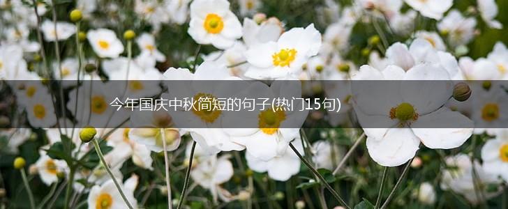 今年国庆中秋简短的句子(热门15句),第1张