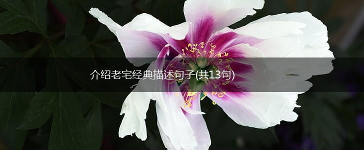 介绍老宅经典描述句子(共13句),第1张