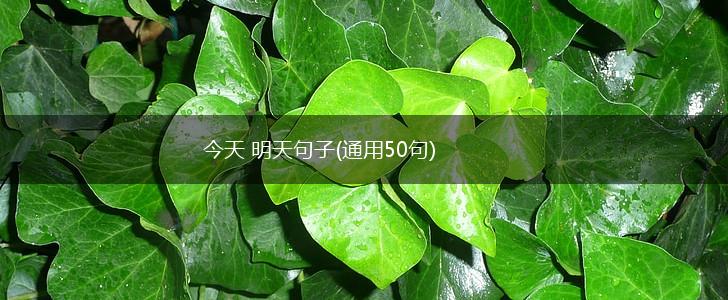今天 明天句子(通用50句),第1张