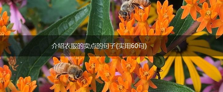 介绍衣服的卖点的句子(实用60句),第1张