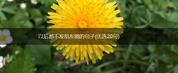 以后都不发朋友圈的句子(优选20句),第1张