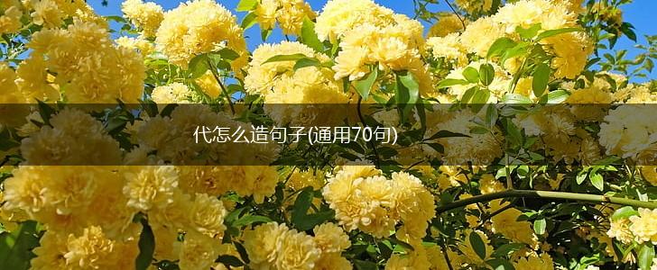 代怎么造句子(通用70句),第1张