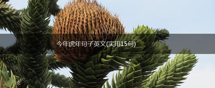 今年虎年句子英文(实用15句),第1张