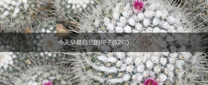 今天早晨自信的句子(52句),第1张
