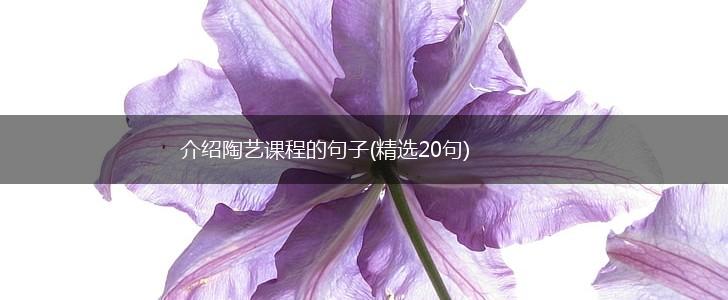 介绍陶艺课程的句子(精选20句),第1张