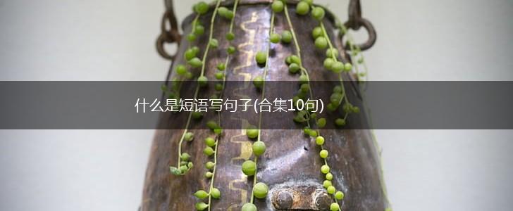 什么是短语写句子(合集10句),第1张