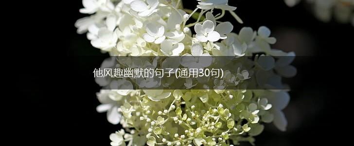 他风趣幽默的句子(通用30句),第1张