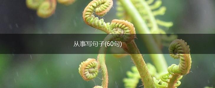 从事写句子(60句),第1张