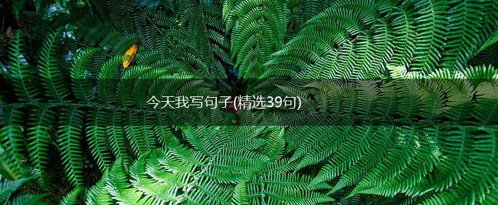 今天我写句子(精选39句),第1张