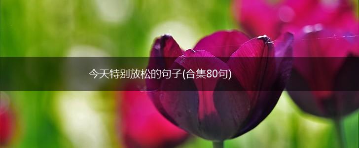今天特别放松的句子(合集80句),第1张